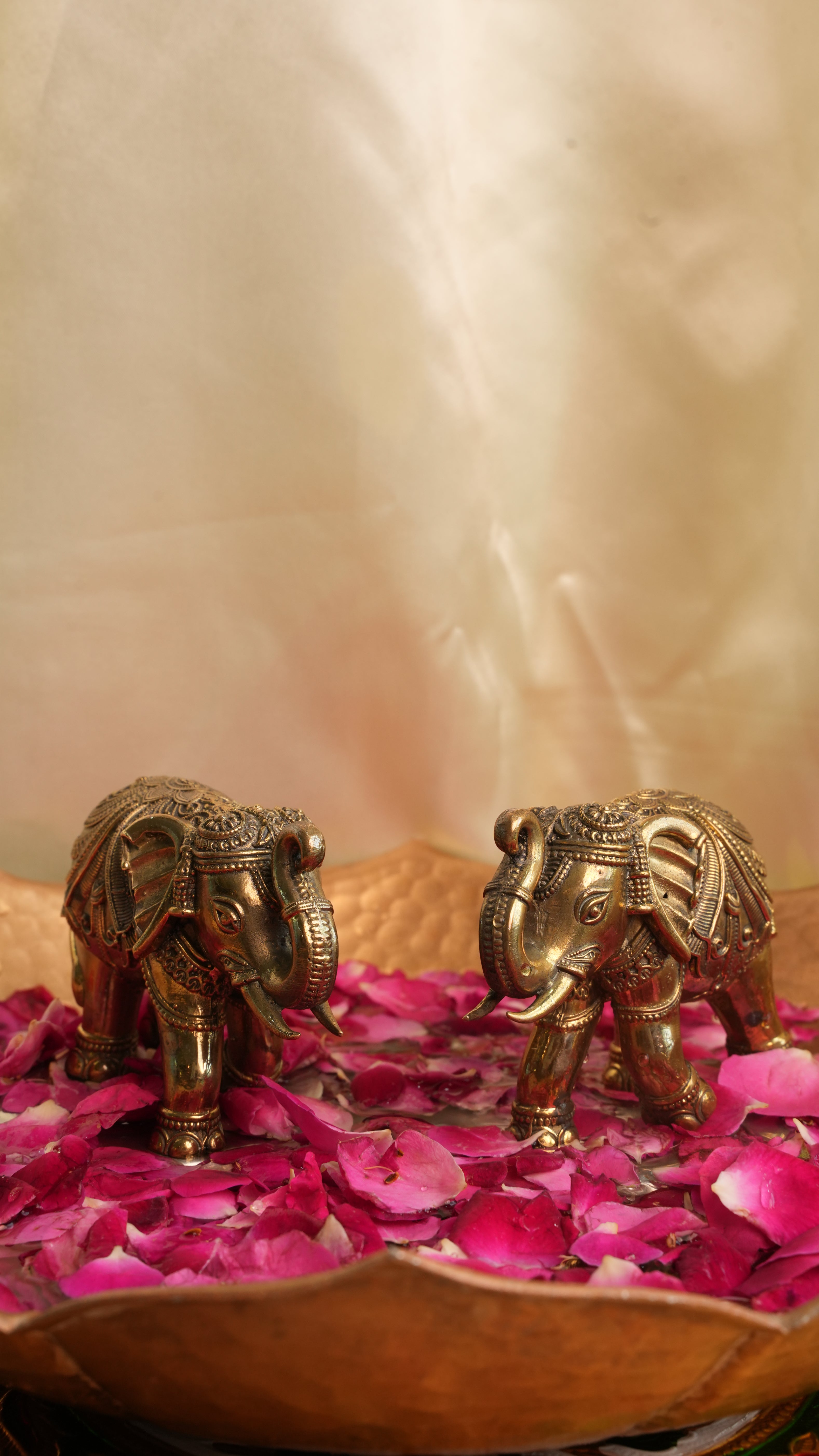 Brass Vastu Elephant Murti Pair | Trunk Up Idol for Good Luck, Prosperity & Strength