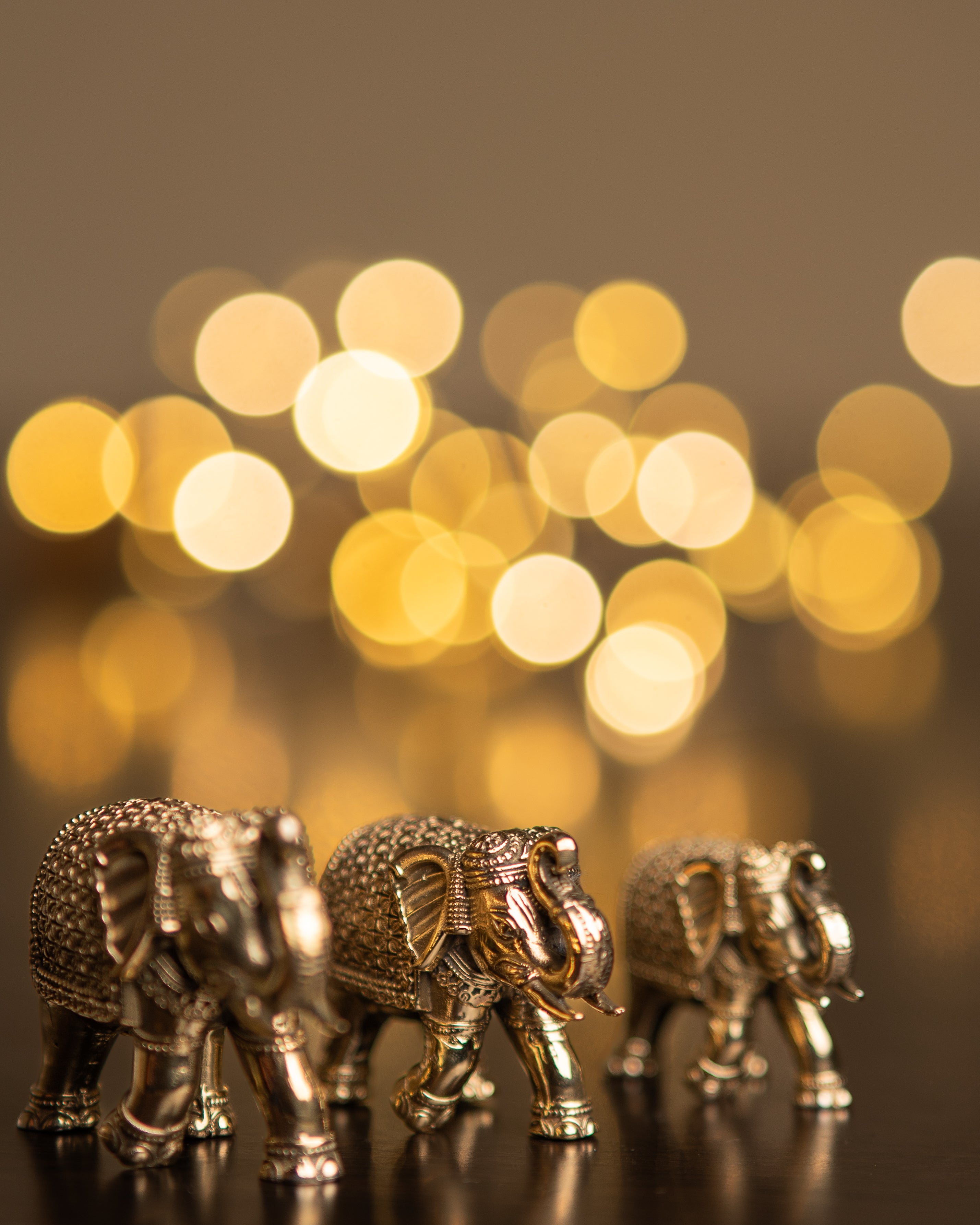 Brass Vastu Elephant Set of 2 | Trunk Up Pair for Prosperity, Luck & Strength