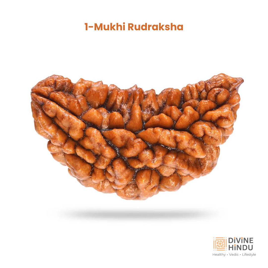 1 Mukhi Rudraksha (Chandrama) bead symbolizing enlightenment and supreme consciousness