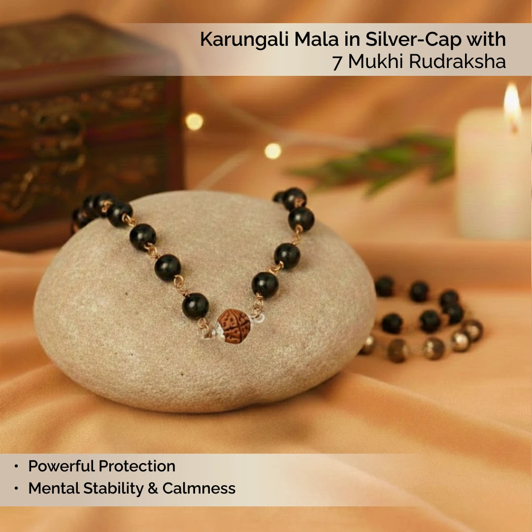 Karungali Mala in Silver-Cap with 7 Mukhi Rudraksha