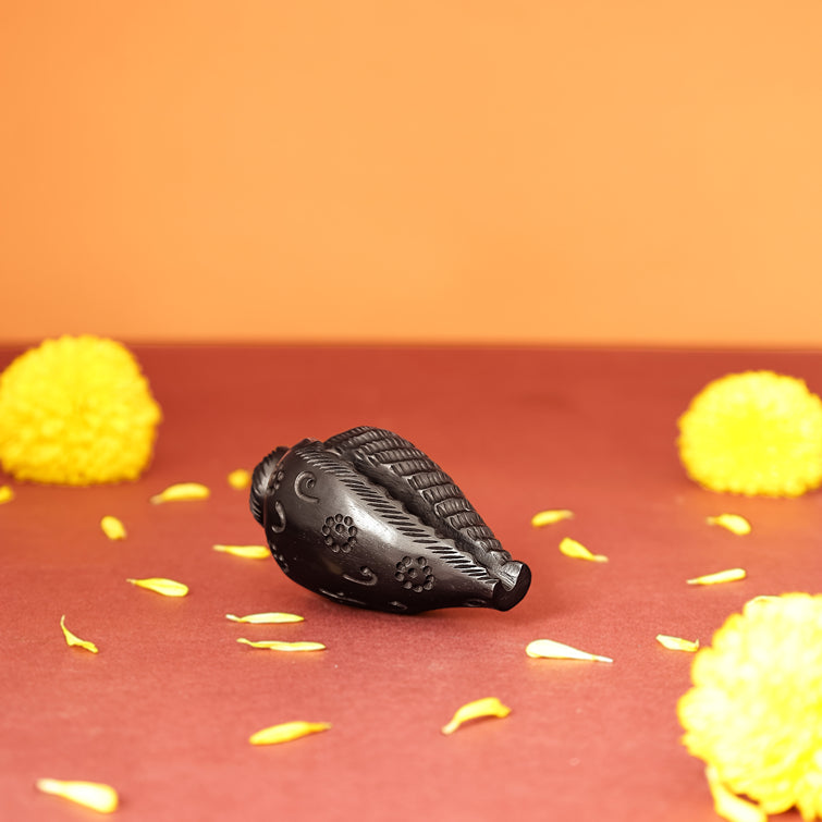 Divine Hindu Karungali Shankh For Pooja