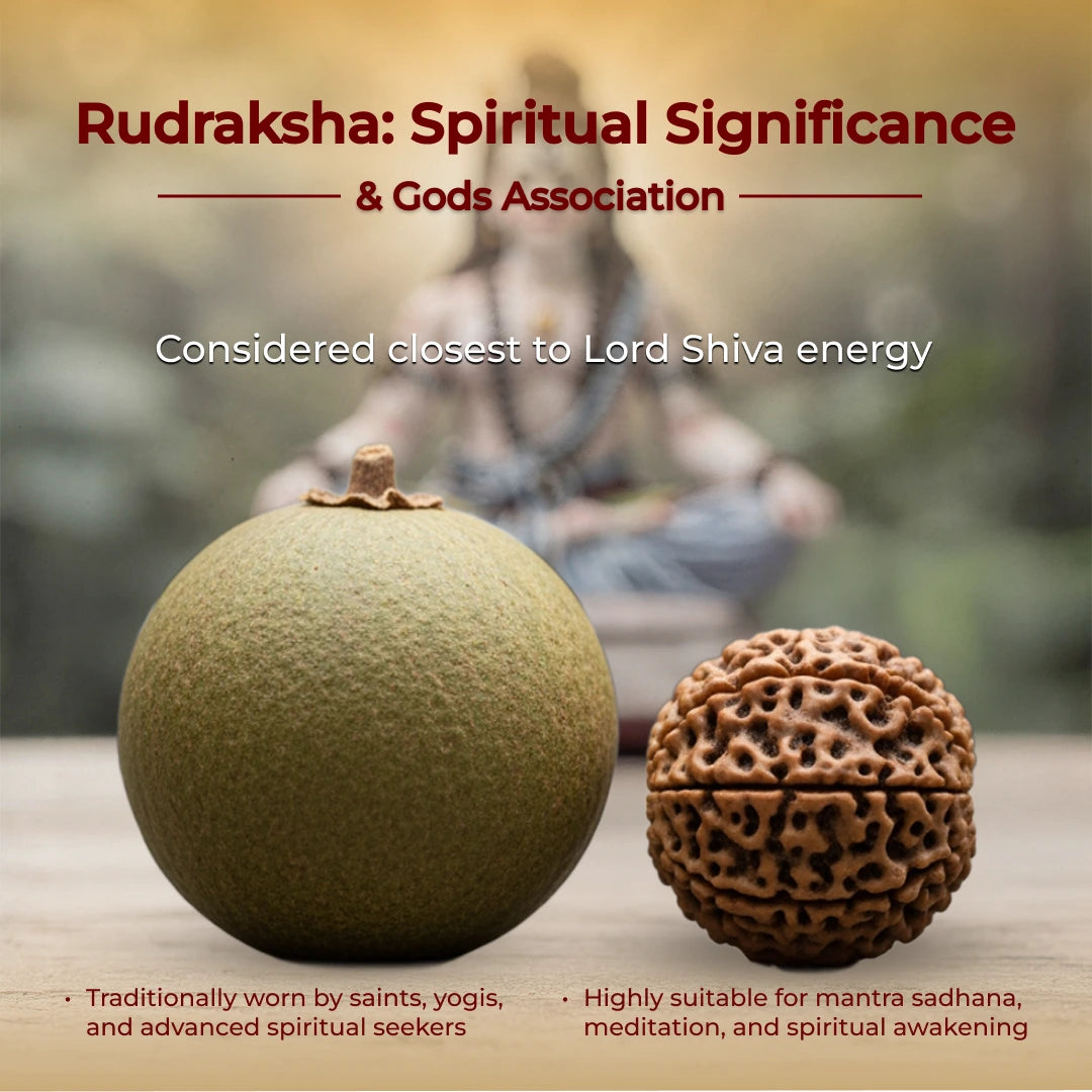 Nirakar (Zero) Mukhi Rudraksha