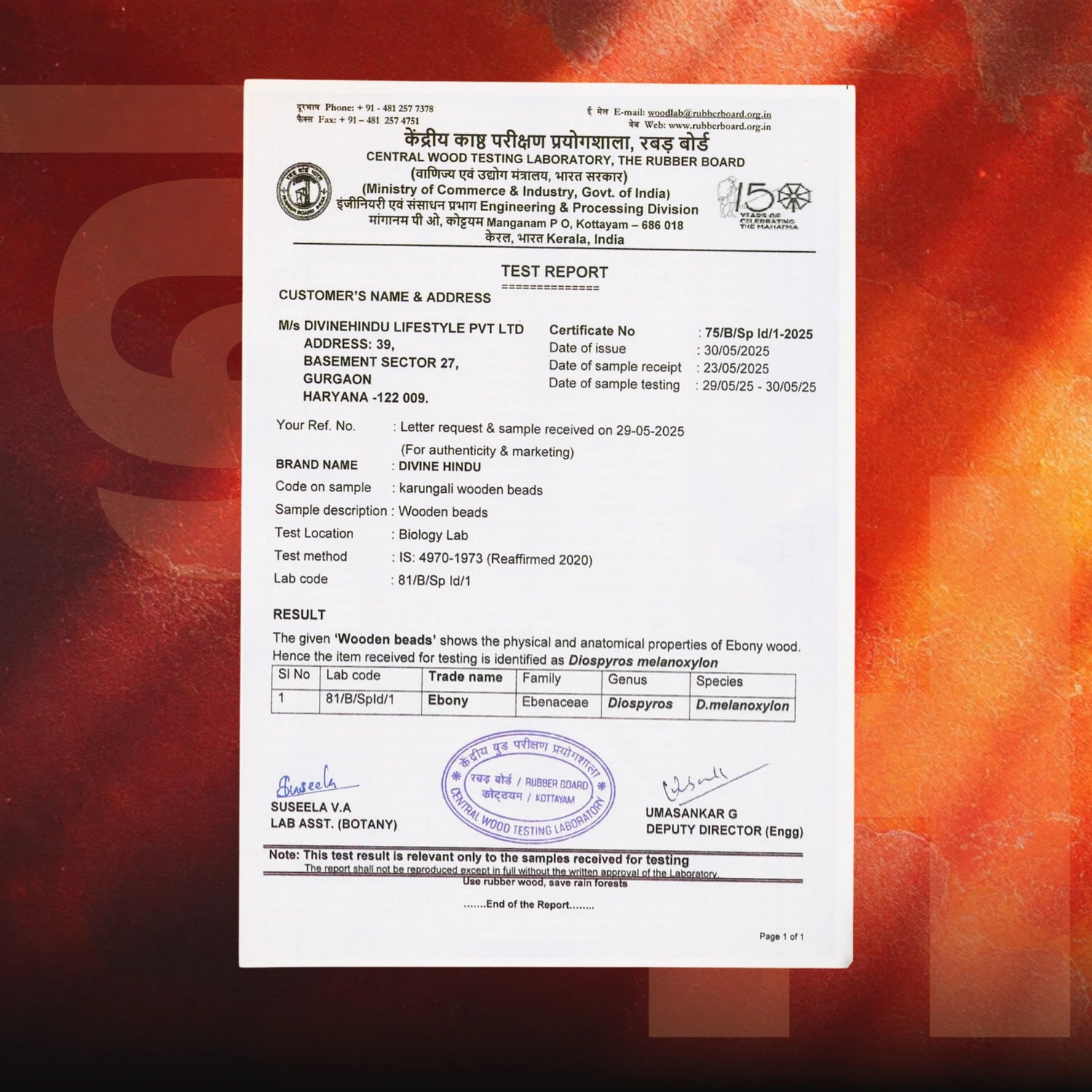 Karungali Shankh (for puja)