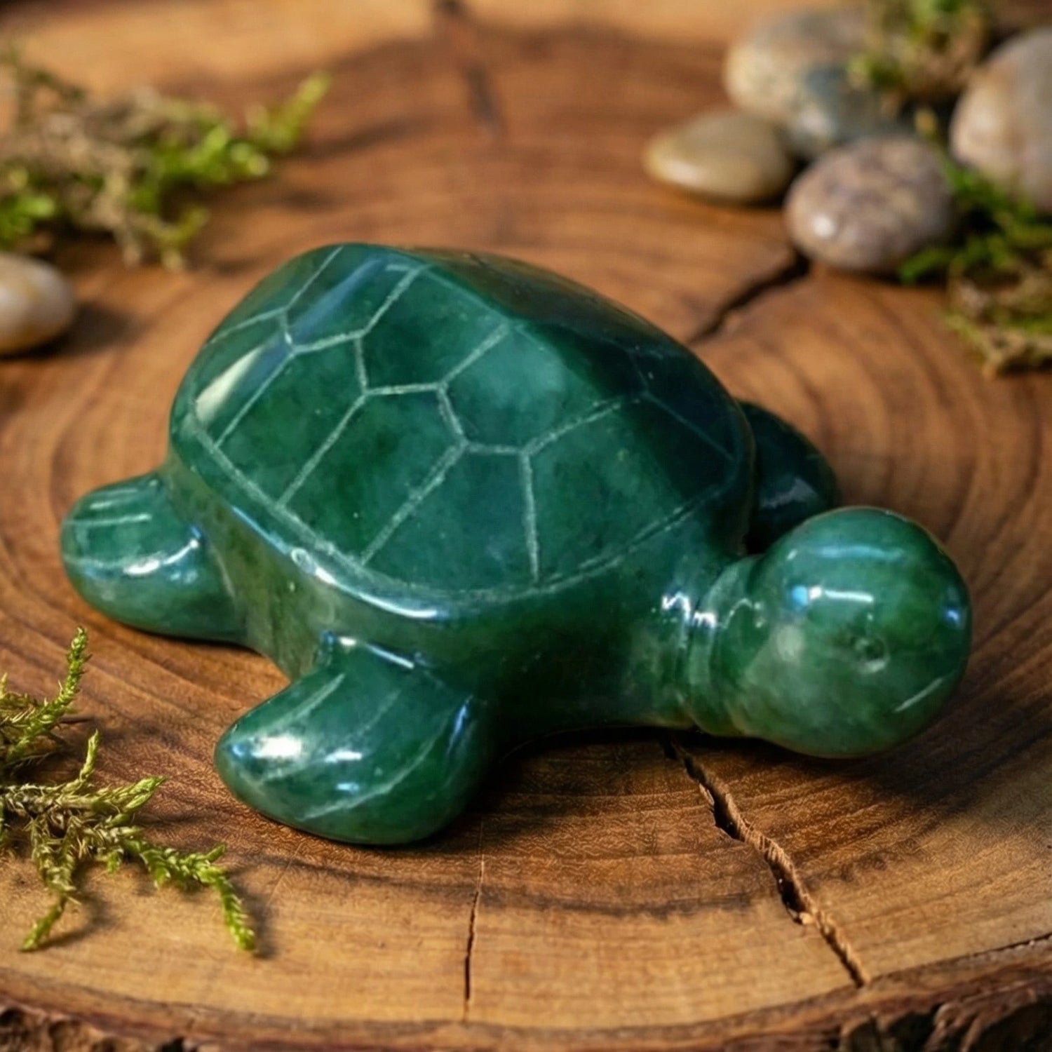 Green Jade Turtle on a wooden surface