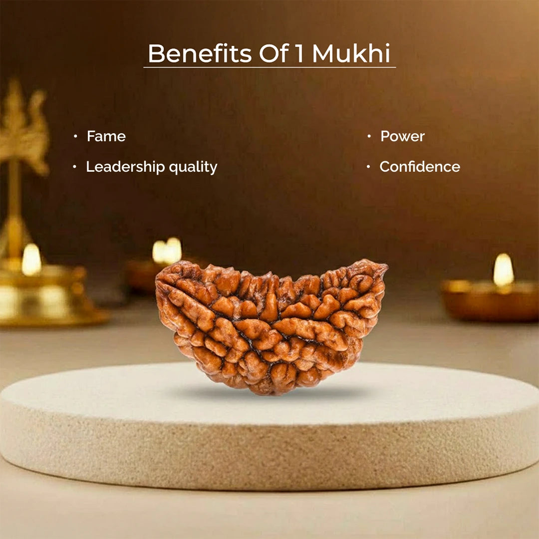 1 Mukhi Lab Certified Rudraksha