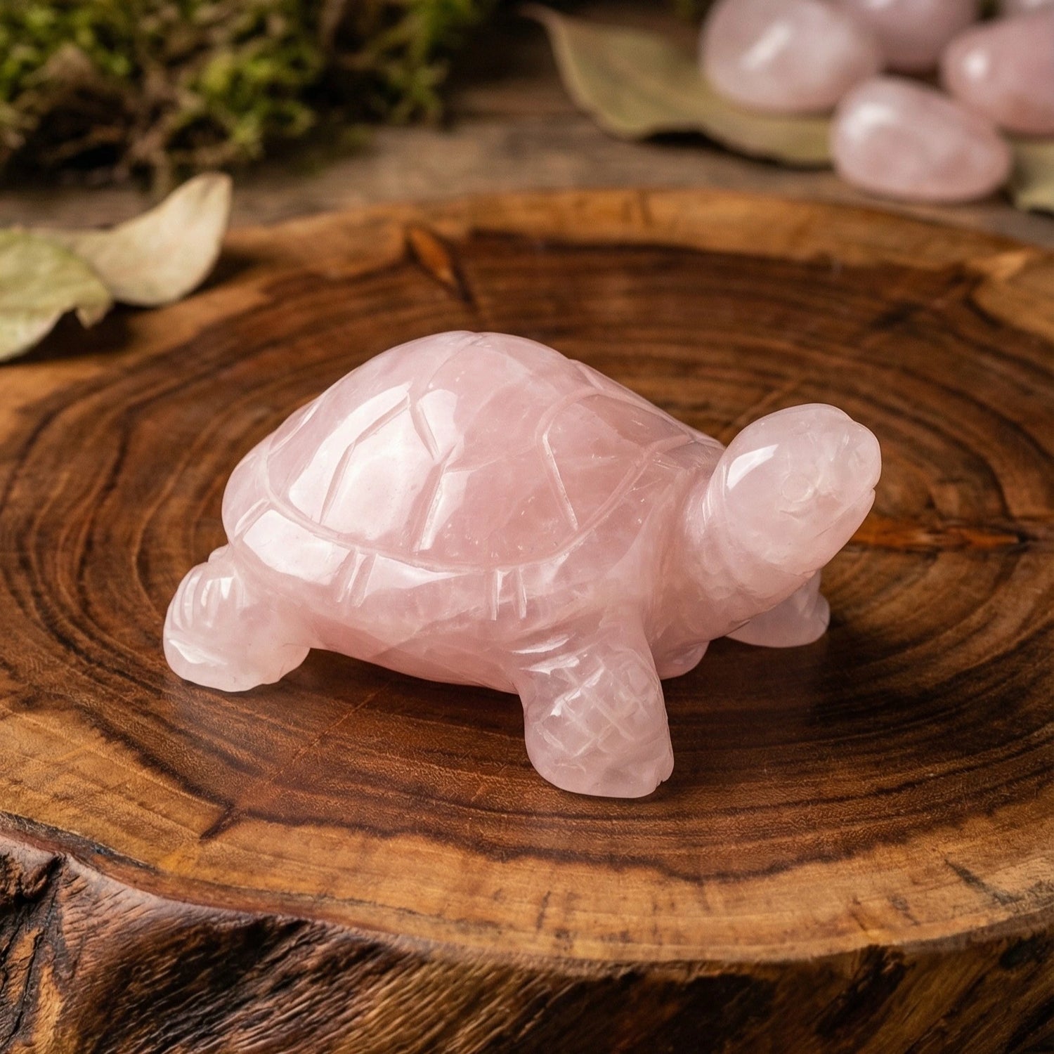 Rose Quartz Turtle