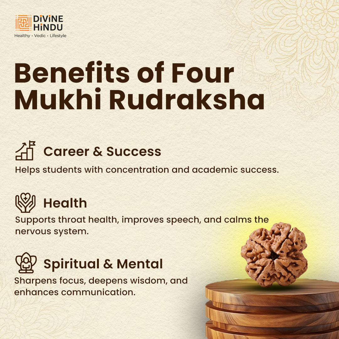 4 Mukhi Rudraksha | Benefits of 4 Mukhi Rudraksha