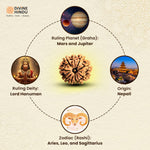 9 Mukhi Rudraksha | Rudraksha 9 Mukhi | Benefits of 9 Mukhi Rudraksha  