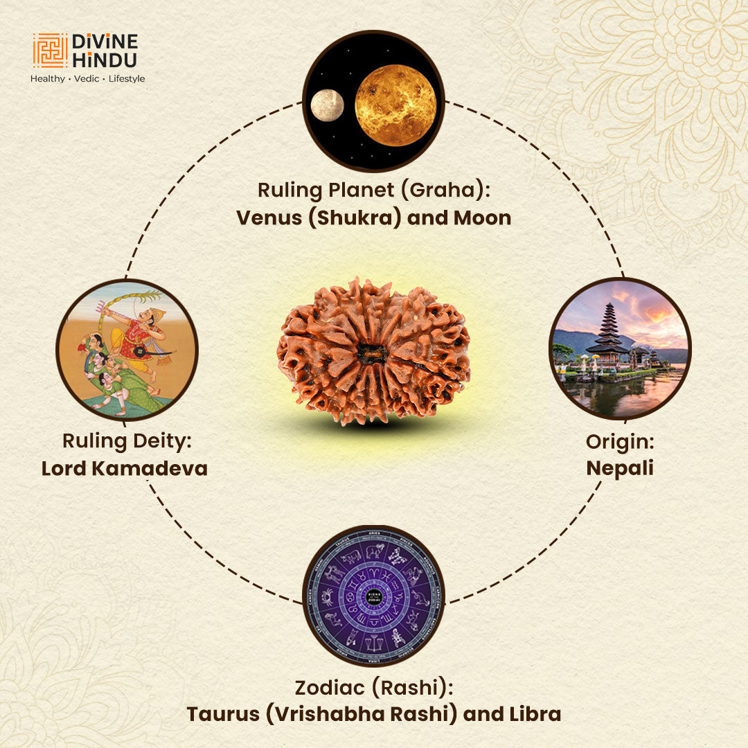 13 Mukhi Rudraksha | Benefits 13 Mukhi