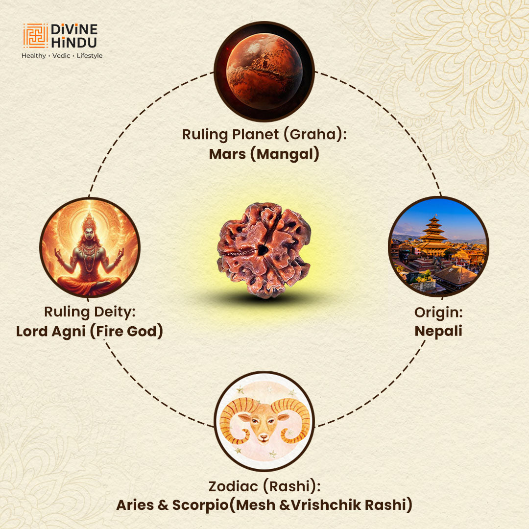 3 Mukhi Original Rudraksha | Ruling Planet, Ruling Deity, Zodiac, Origin of Nepali Rudraksha