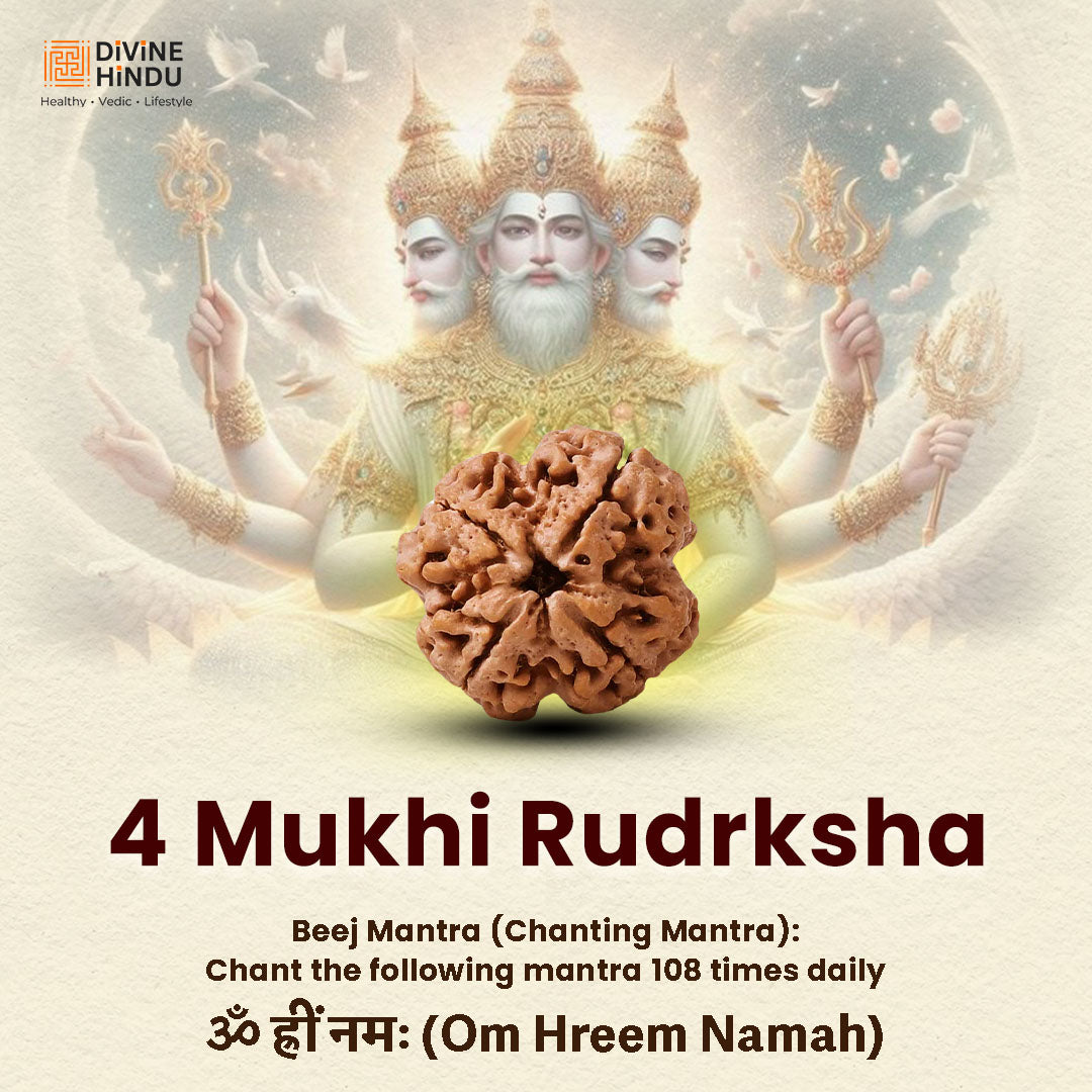 4 Mukhi Rudraksha | Beej Mantra 