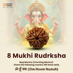 8 Mukhi Rudraksha | Rudraksha 8 Mukhi  | Beej Mantra 